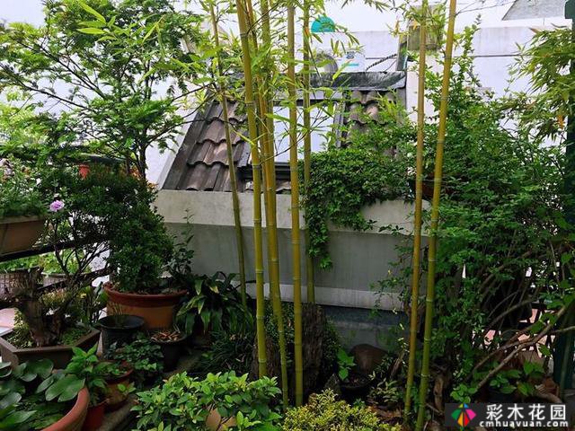 100㎡的露台创造“空气花园”,伴随着花草,露台是诗意和距离