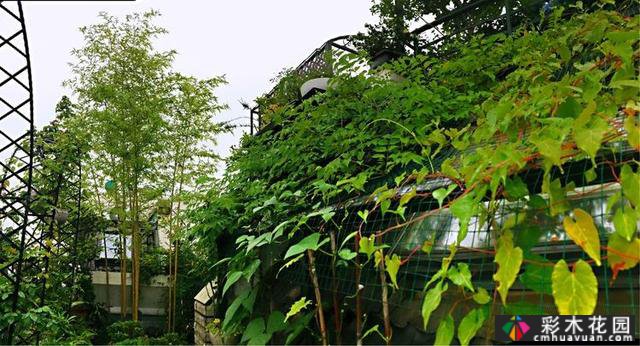 100㎡的露台创造“空气花园”,伴随着花草,露台是诗意和距离