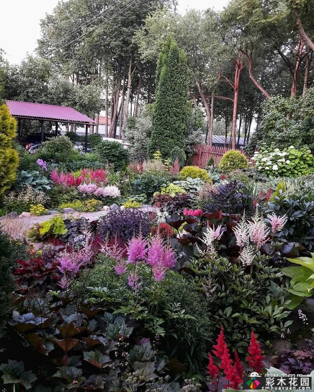 花园季节性兴趣-感受花园的季节性变化是园艺和种植的乐趣之一