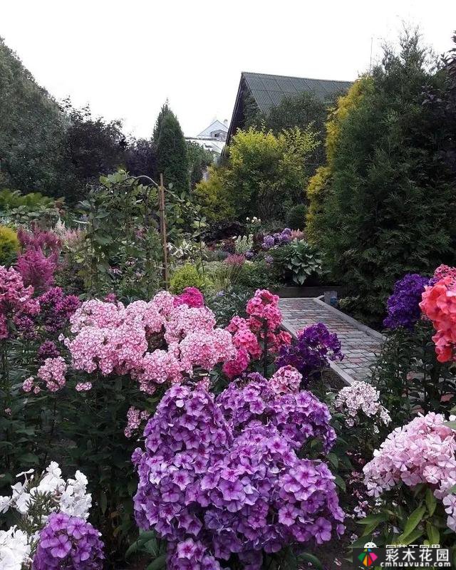 花园季节性兴趣-感受花园的季节性变化是园艺和种植的乐趣之一