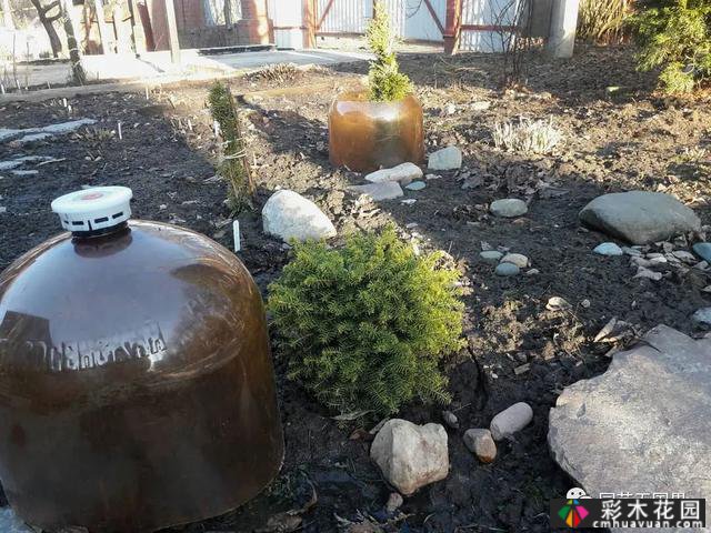 花园季节性兴趣-感受花园的季节性变化是园艺和种植的乐趣之一