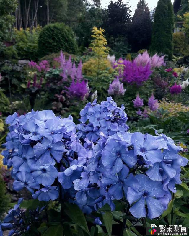 花园季节性兴趣-感受花园的季节性变化是园艺和种植的乐趣之一