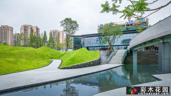 风景园林中快速问题曲线的构成技巧(小尺度)