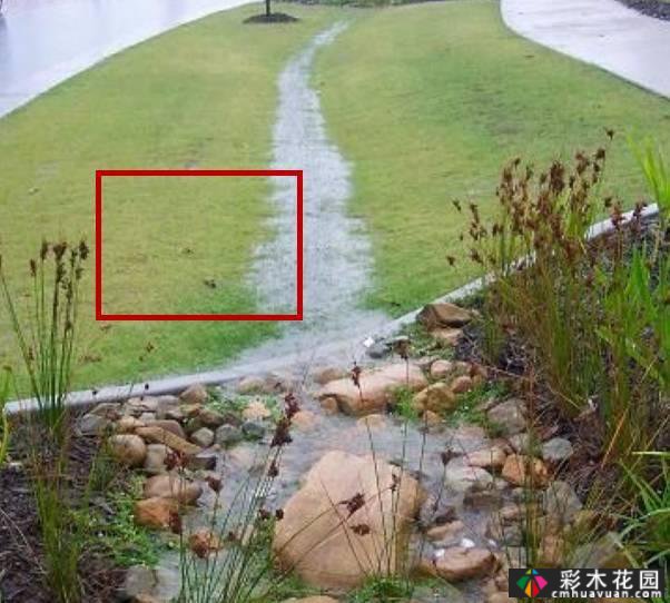 景观干货| 5分钟了解什么是“生态植草沟”
