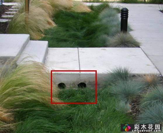 景观干货| 5分钟了解什么是“生态植草沟”