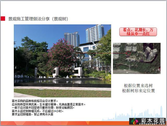 景观工程施工管理培训(插图)