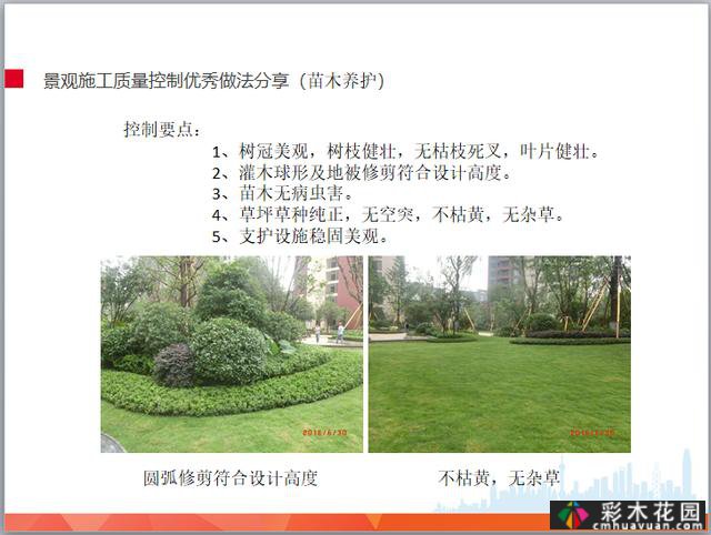 景观工程施工管理培训(插图)