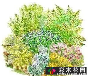 为什么别人的庭院花园这么漂亮?