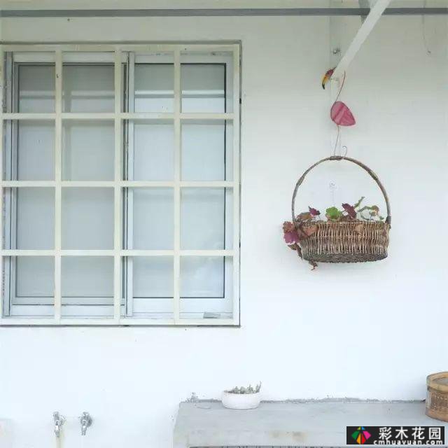 她的家像宫崎骏其人动画一样美丽,这个19岁的女孩改变了仓库平房,三个人和一只狗