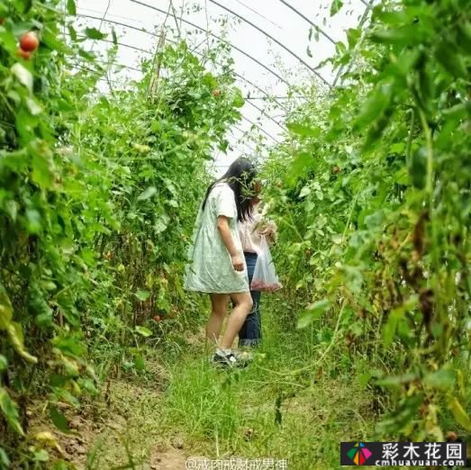 她的家像宫崎骏其人动画一样美丽,这个19岁的女孩改变了仓库平房,三个人和一只狗