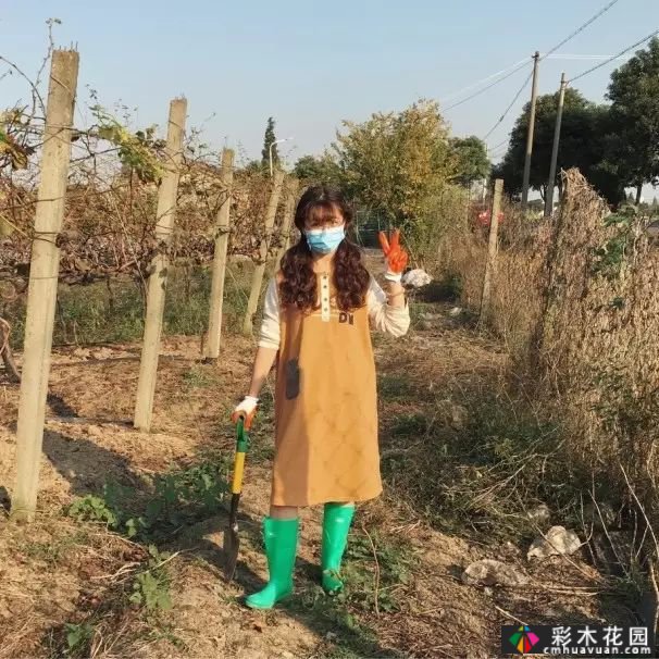 她的家像宫崎骏其人动画一样美丽,这个19岁的女孩改变了仓库平房,三个人和一只狗