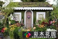 看着花朵绽放,等待花朵凋谢,保持温暖和自我意识,保持一如既往的干净