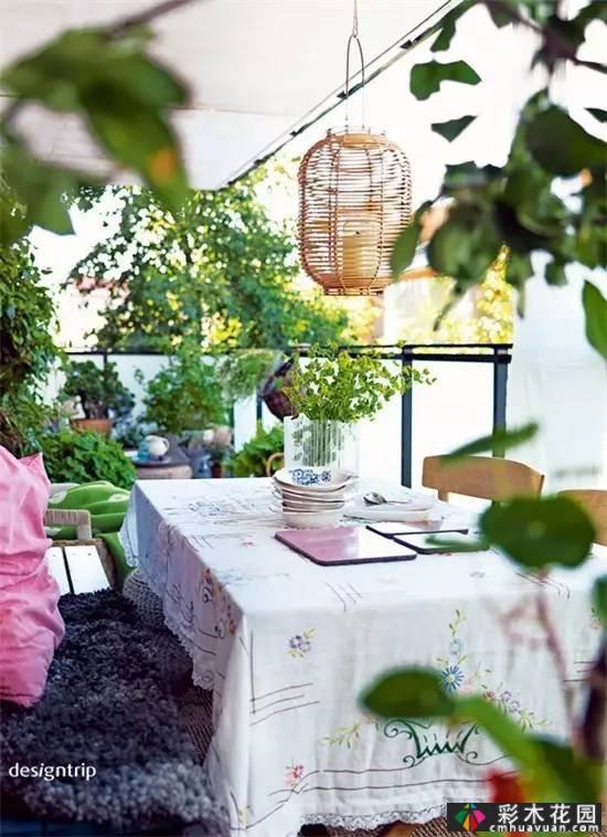 如果你有屋顶,建一个花园