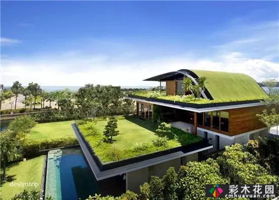如果你有屋顶,建一个花园