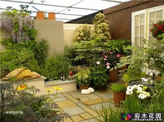 如果你有屋顶,建一个花园