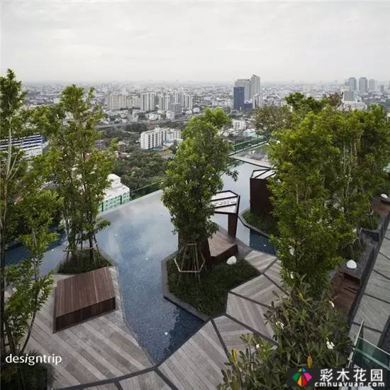 如果你有屋顶,建一个花园