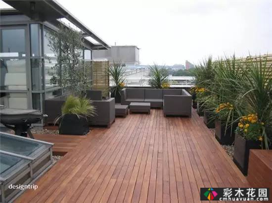 如果你有屋顶,建一个花园