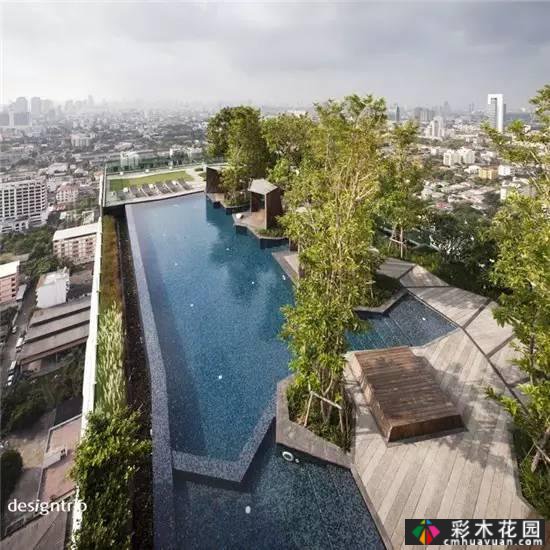如果你有屋顶,建一个花园