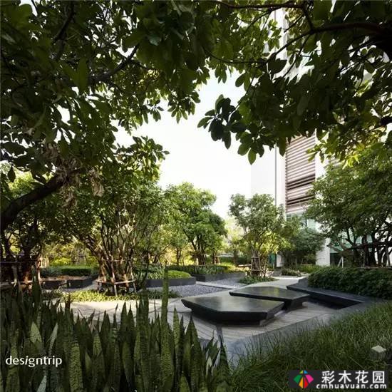 如果你有屋顶,建一个花园