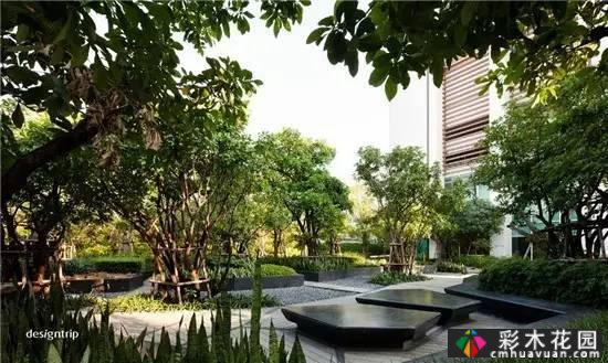 如果你有屋顶,建一个花园