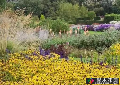 干货|英国现代花境配置分析