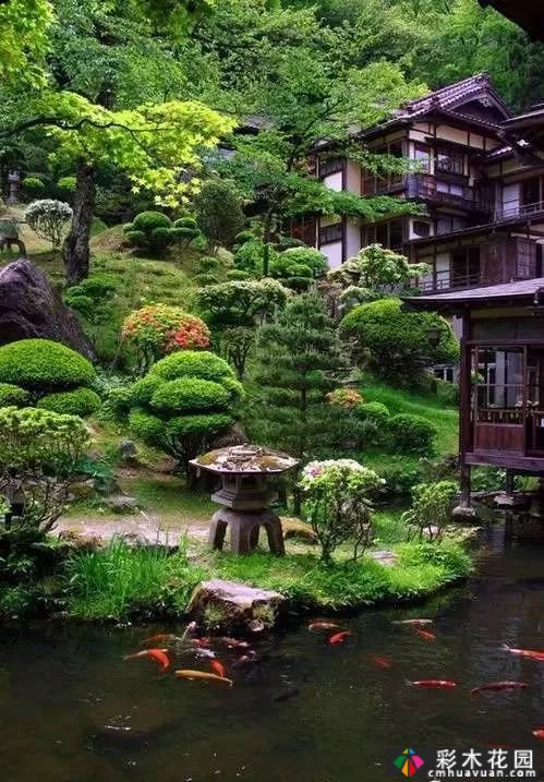 干货|英国现代花境配置分析