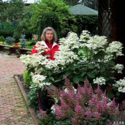 <b>花境的规划和护理——艰苦的耕作非常重要</b>
