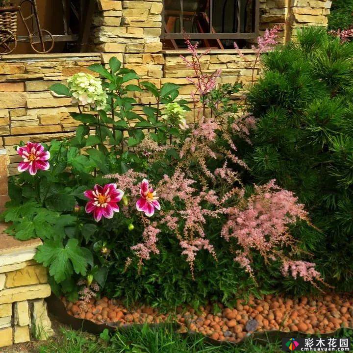 花境的规划和护理——艰苦的耕作非常重要