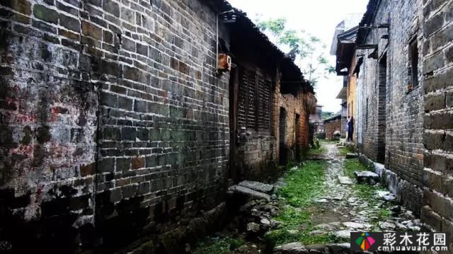这个来自南非的“疯子”把广西的旧农村房子变成了一个美丽的“秘密”