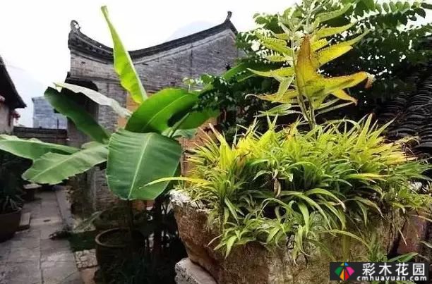 这个来自南非的“疯子”把广西的旧农村房子变成了一个美丽的“秘密”