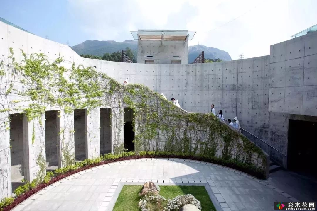 50 庭院 设计箱，快点MK