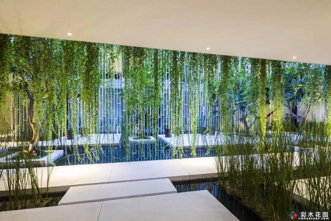 50 庭院 设计箱，快点MK