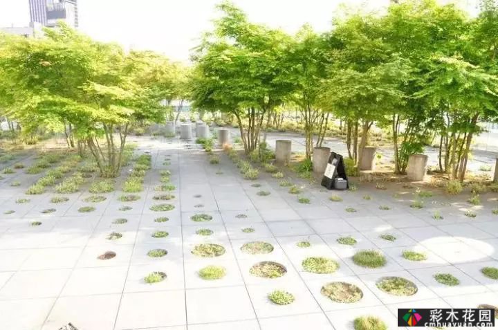 花园铺路，庭院铺路让人喝醉