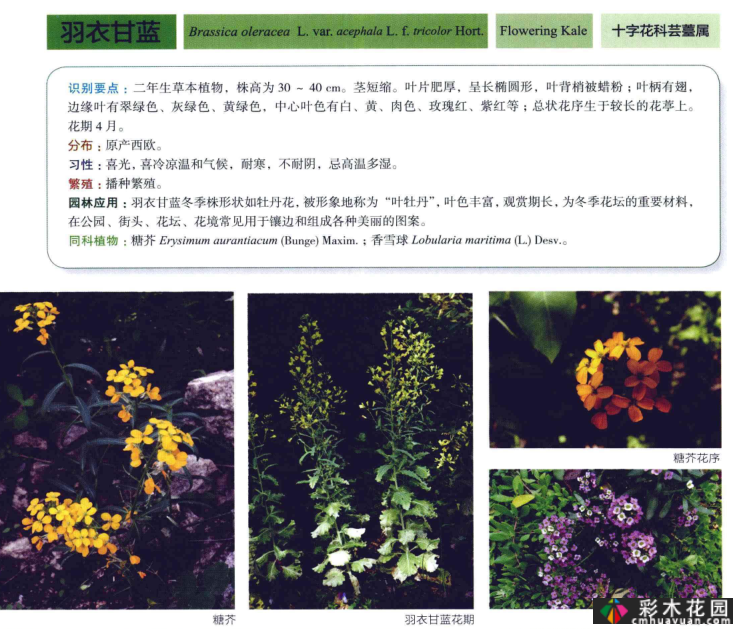 PDF(共591页),高清版,植物书