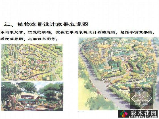 园林植物造景设计技术及绘画表现方法