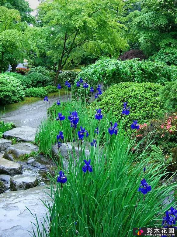 庭院比花园更漂亮