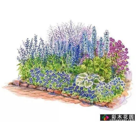 25迷你花园