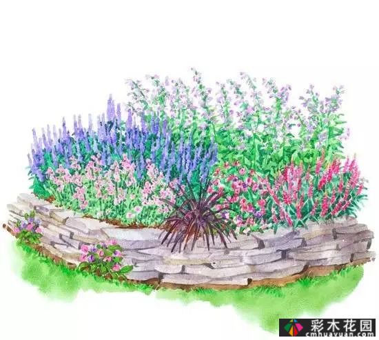 25迷你花园