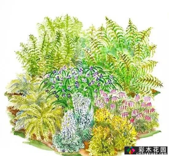 25迷你花园