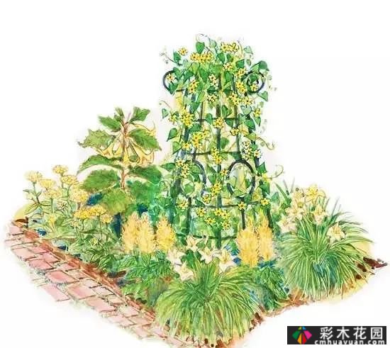 25迷你花园