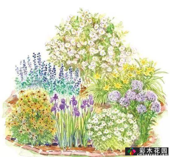 25迷你花园