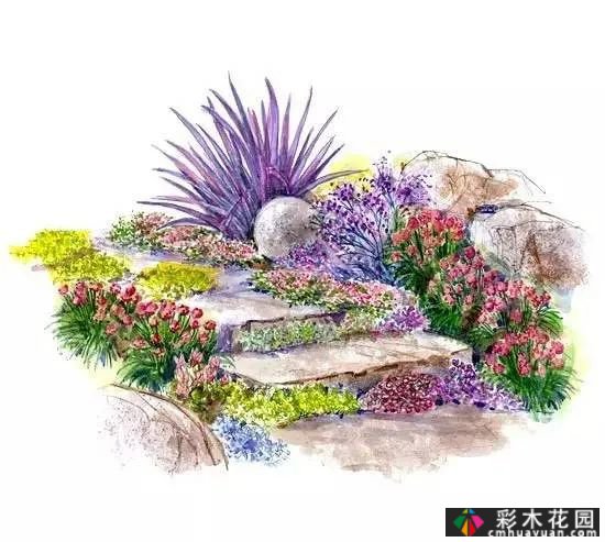 25迷你花园