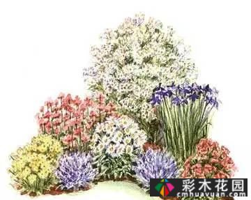 25迷你花园