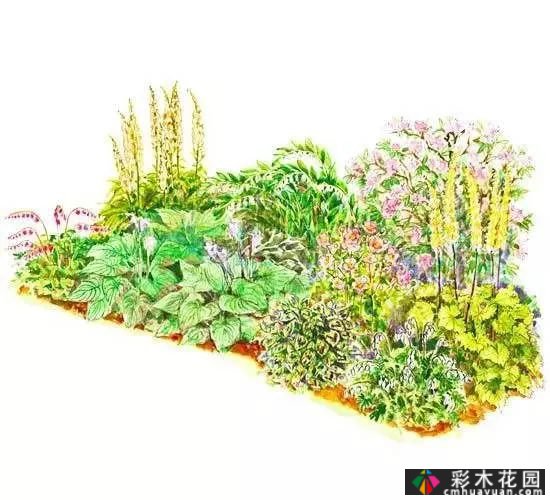 25迷你花园