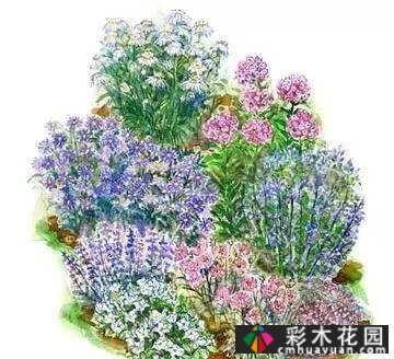 25迷你花园