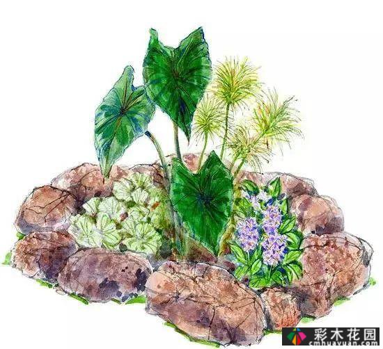 25迷你花园