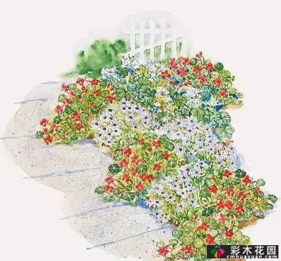 25迷你花园