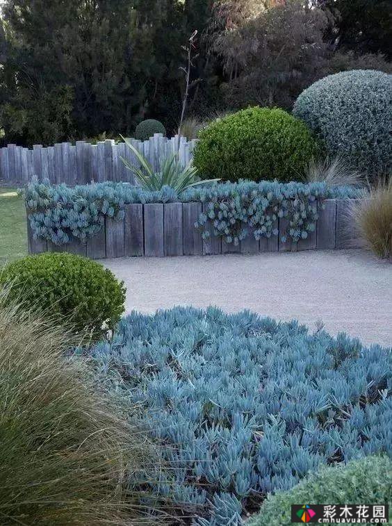 最漂亮的庭院花境，你想要哪一个？你挑吧