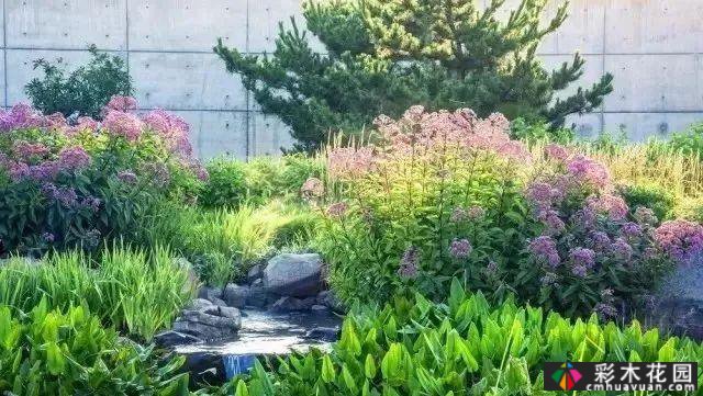 最漂亮的庭院花境，你想要哪一个？你挑吧