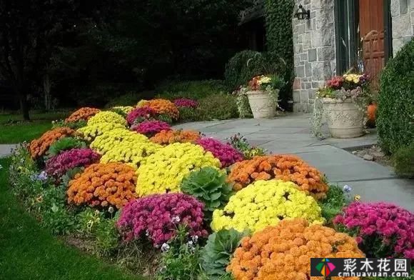最漂亮的庭院花境，你想要哪一个？你挑吧